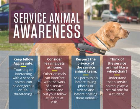 Can you legally ask for proof of service dog. Things To Know About Can you legally ask for proof of service dog. 